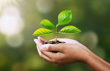 The best indices for socially responsible (SRI) ETFs The best indices for socially responsible (SRI) ETFs