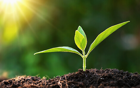 Sustainable investments with ETFs